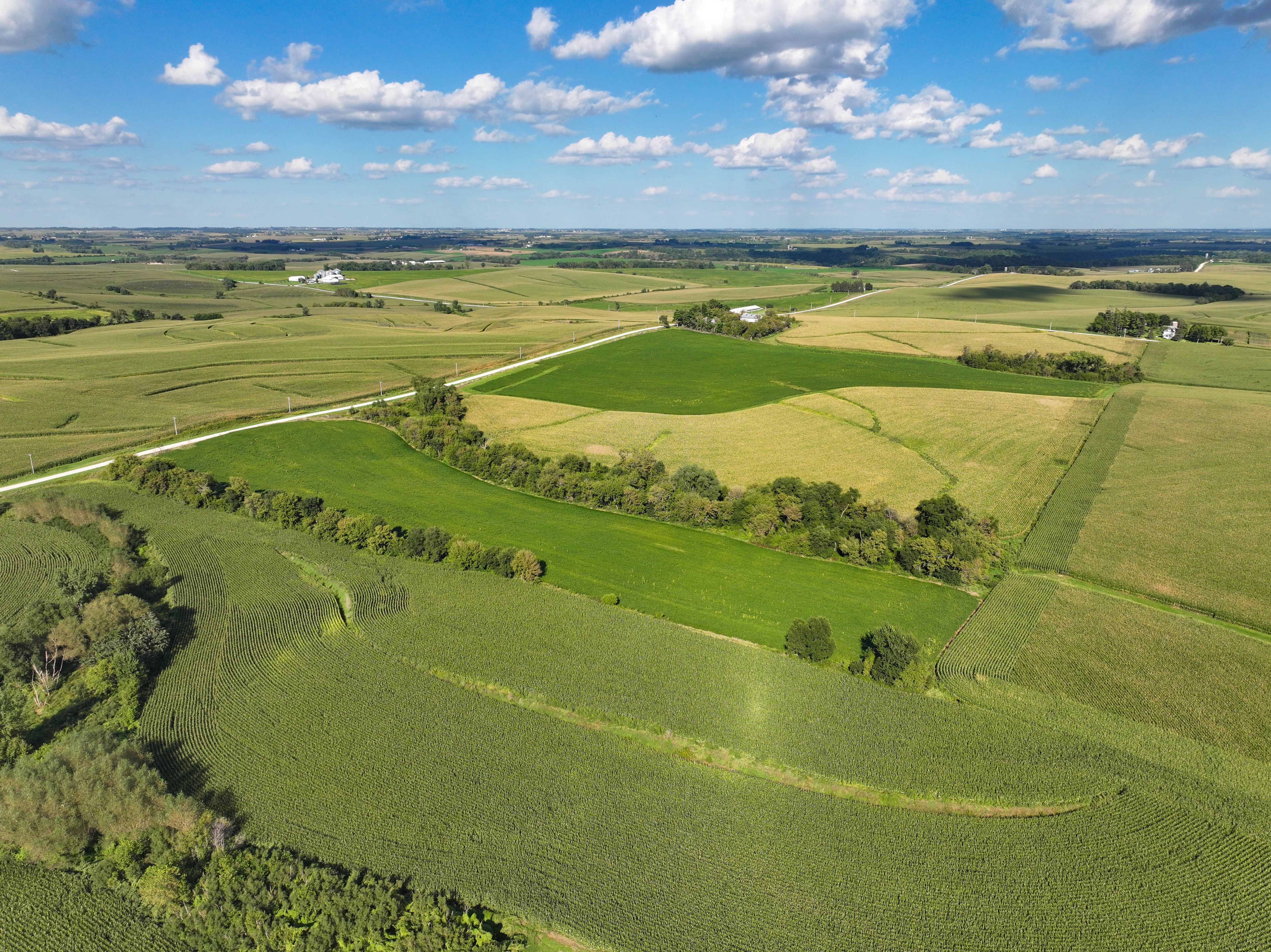 Listing Photo: 6-Allamakee Co Farm Auction